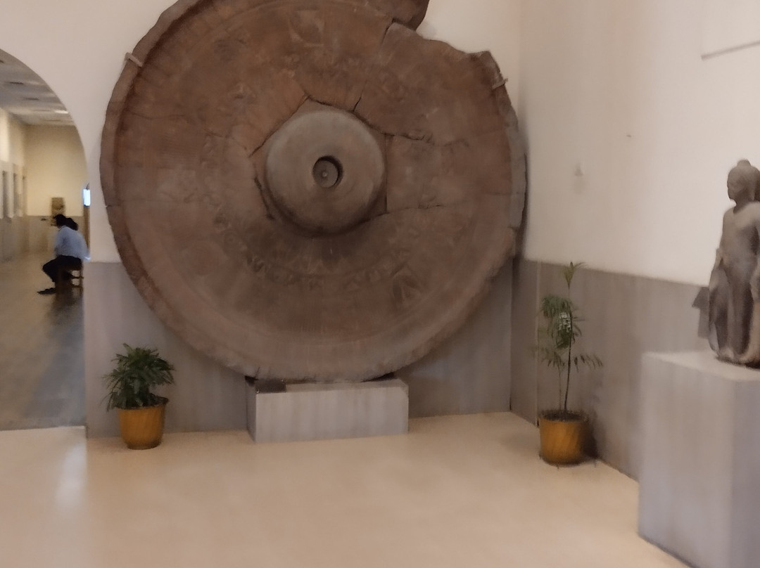 Garden of Spiritual Wisdom-瓦拉纳西必去景点
