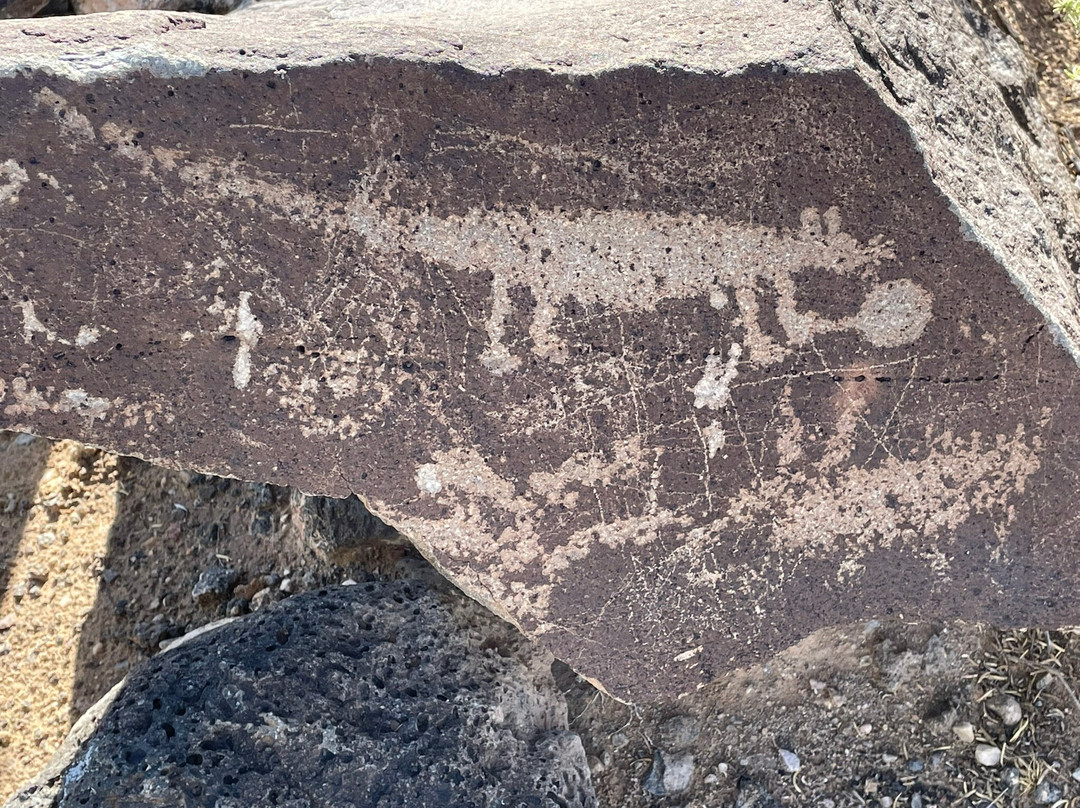 Petroglyph National Monument-阿尔伯克基必去景点