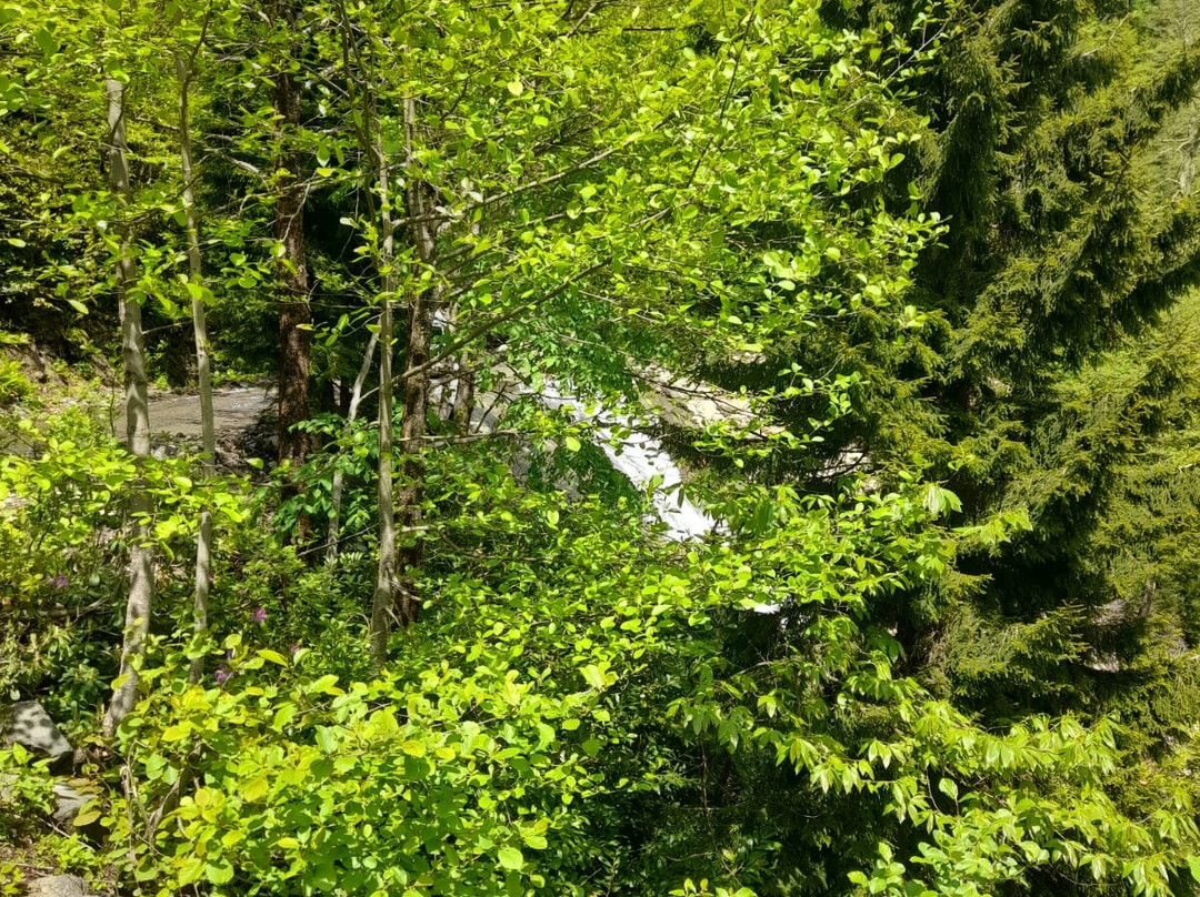 Borçka Karagöl Tabiat Parkı-Artvin必去景点