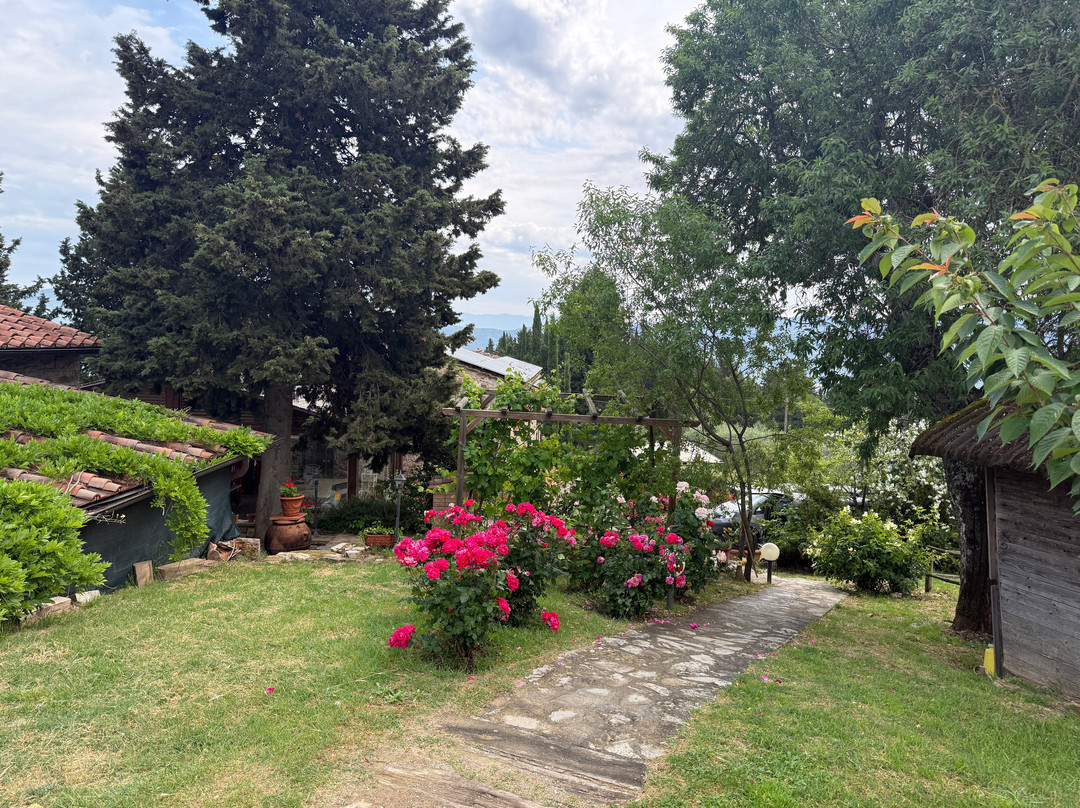 Scenic wine tours in Tuscany-Loro Ciuffenna必去景点