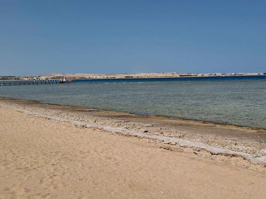 Steg Premier Le Reve