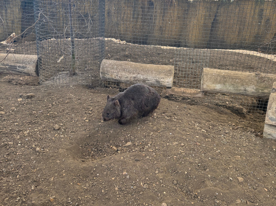 Hamerton Zoo Park-Sawtry必去景点