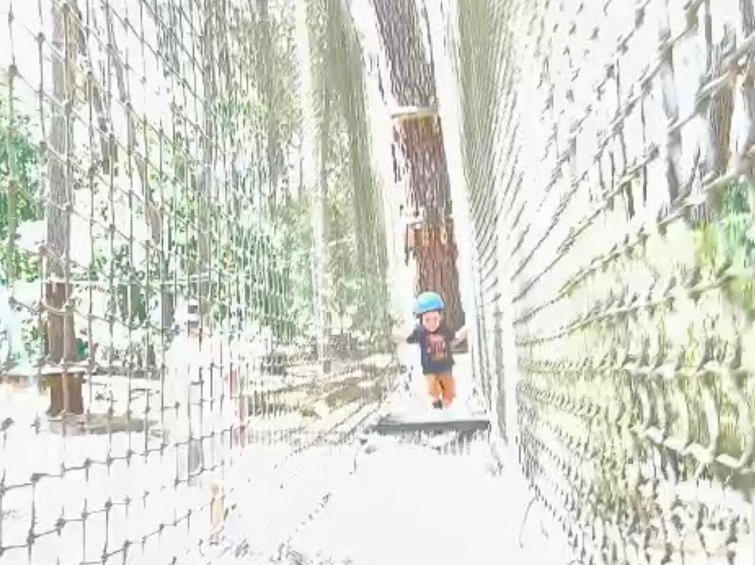 Parc de l'Aventure-Vendays Montalivet必去景点