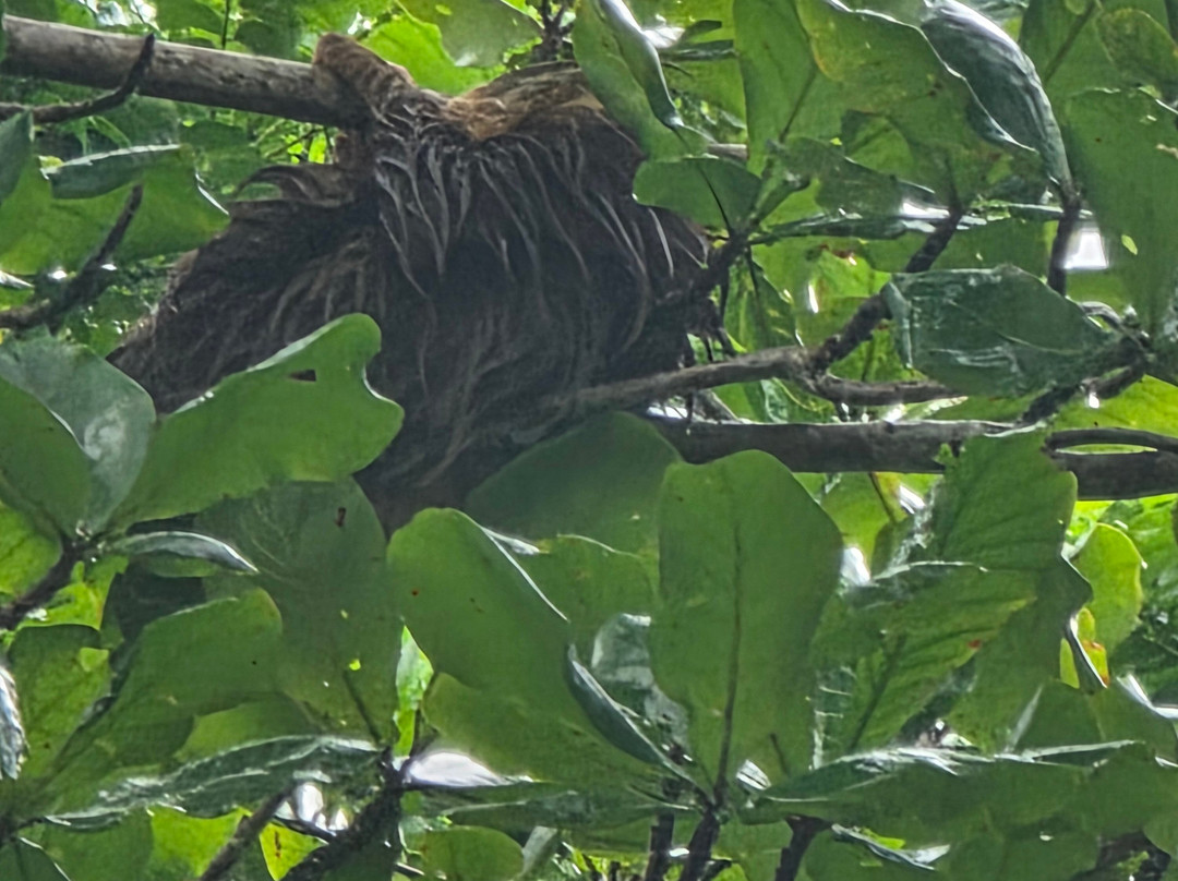 拉古纳小屋全膳主图