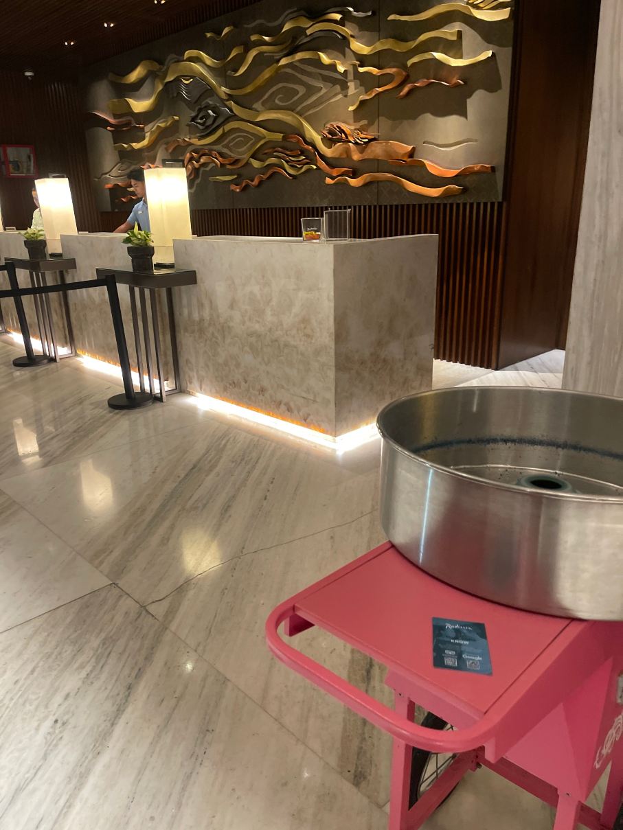 楠榜科达顿丽笙酒店-旅行者