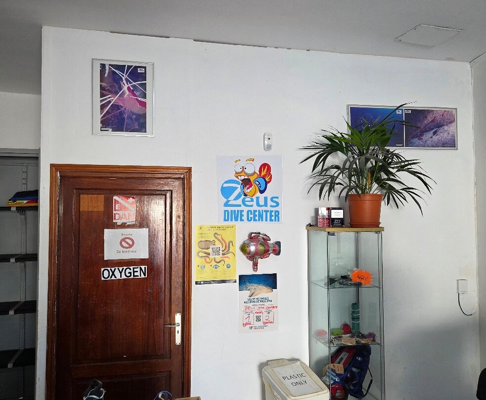 Zeus Dive Center Tenerife