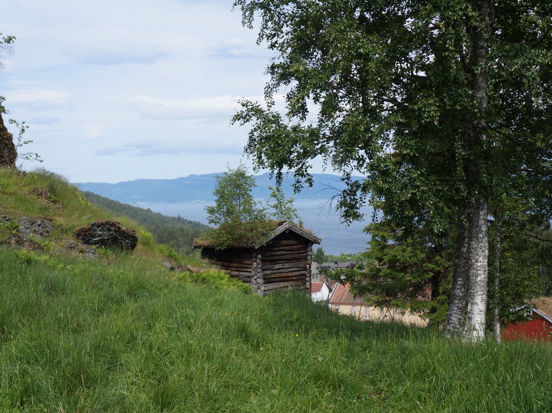 Sverresborg Trondelag Folk Museum-特隆赫姆必去景点