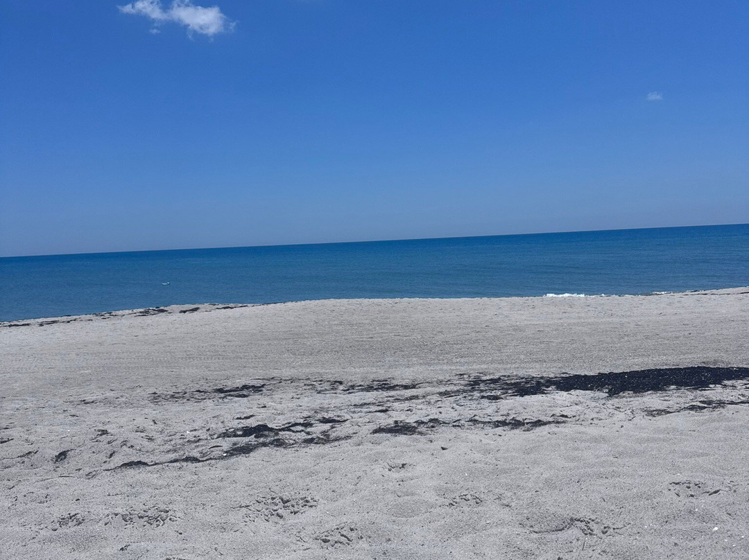 蓝色海滩度假汽车旅馆主图