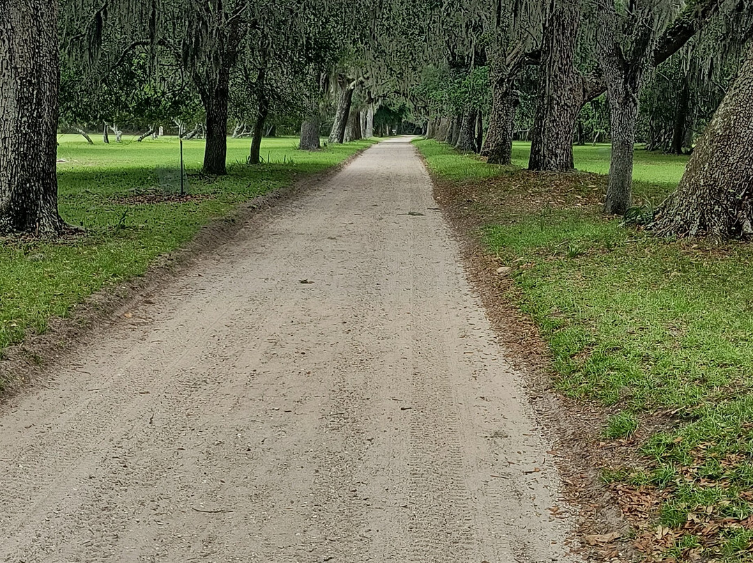 Cumberland Island National Seashore-St. Marys必去景点