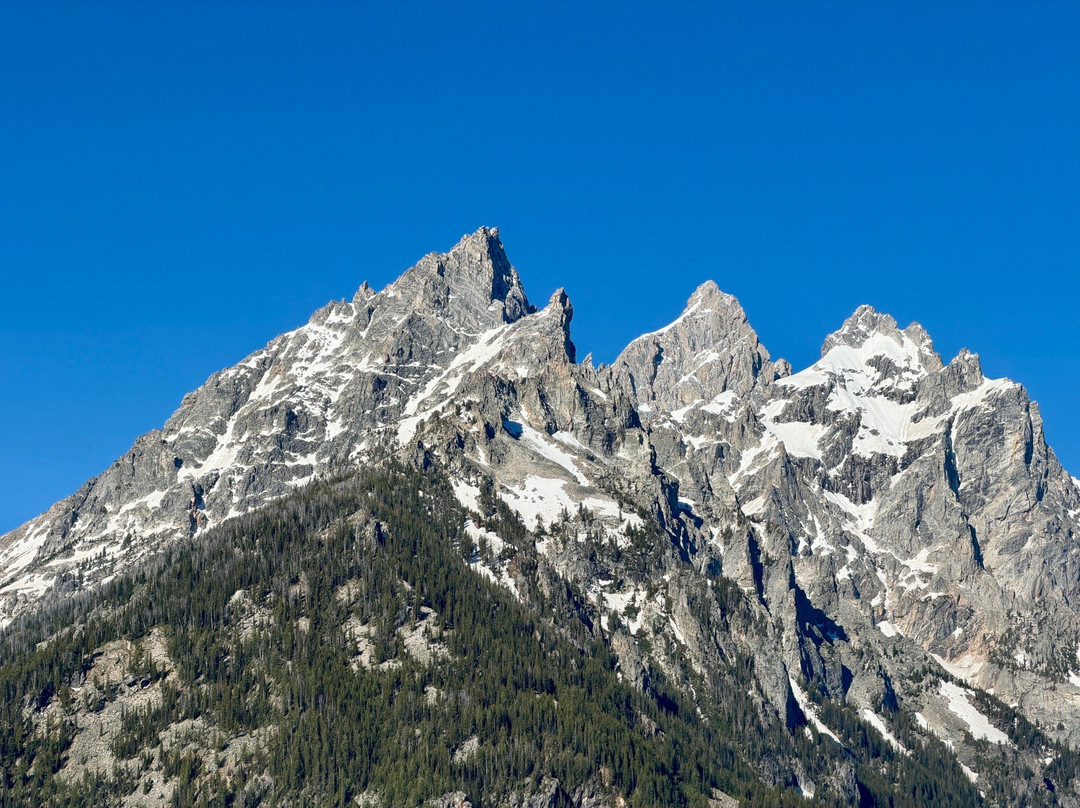 Jenny Lake Boating-穆斯必去景点
