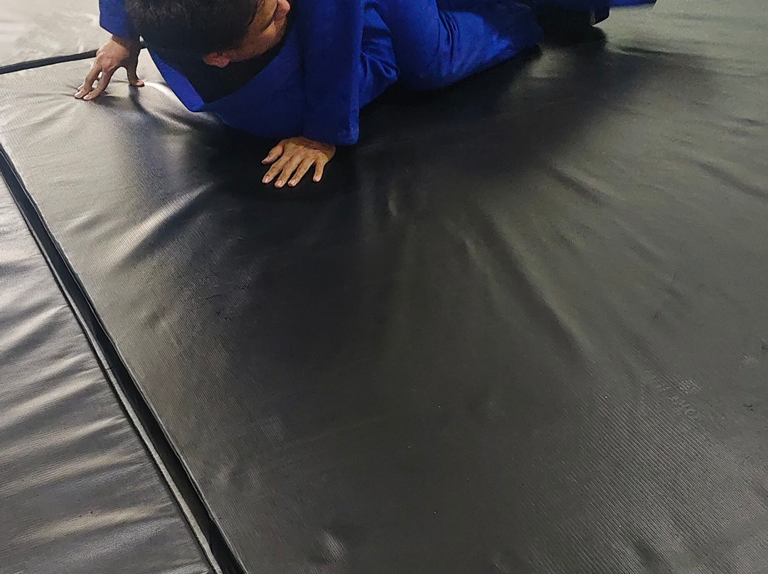Smash Jiu Jitsu Bjj Indonesia-雅加达必去景点
