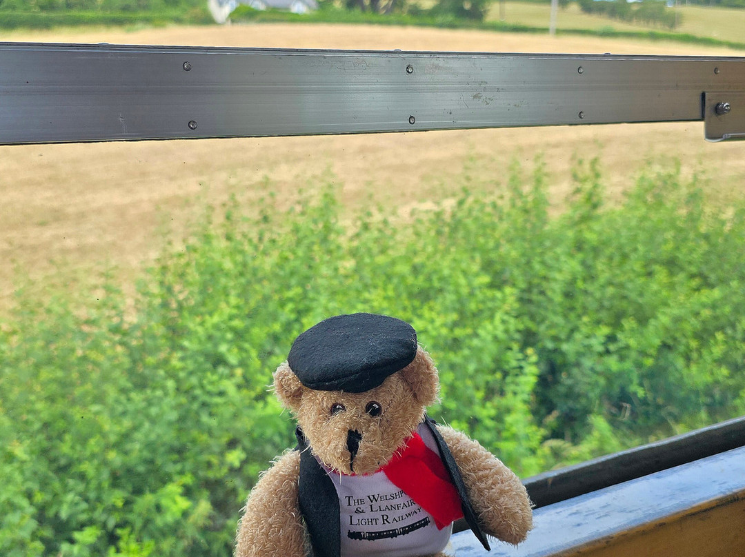 Welshpool and Llanfair Light Railway-Welshpool必去景点