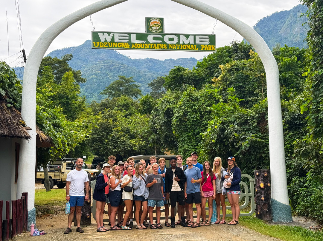 Udzungwa Mountains National Park-莫洛哥罗必去景点