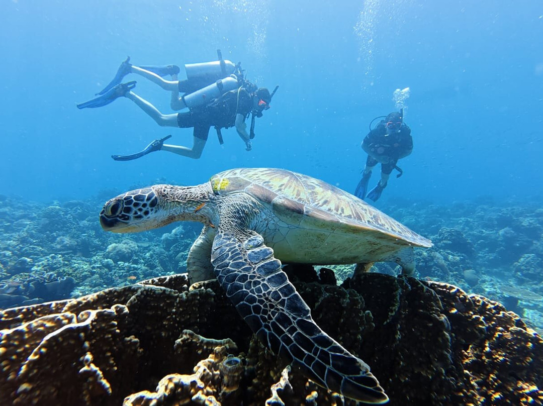 Coco Grove Dive Shop Siquijor Island-圣胡安必去景点