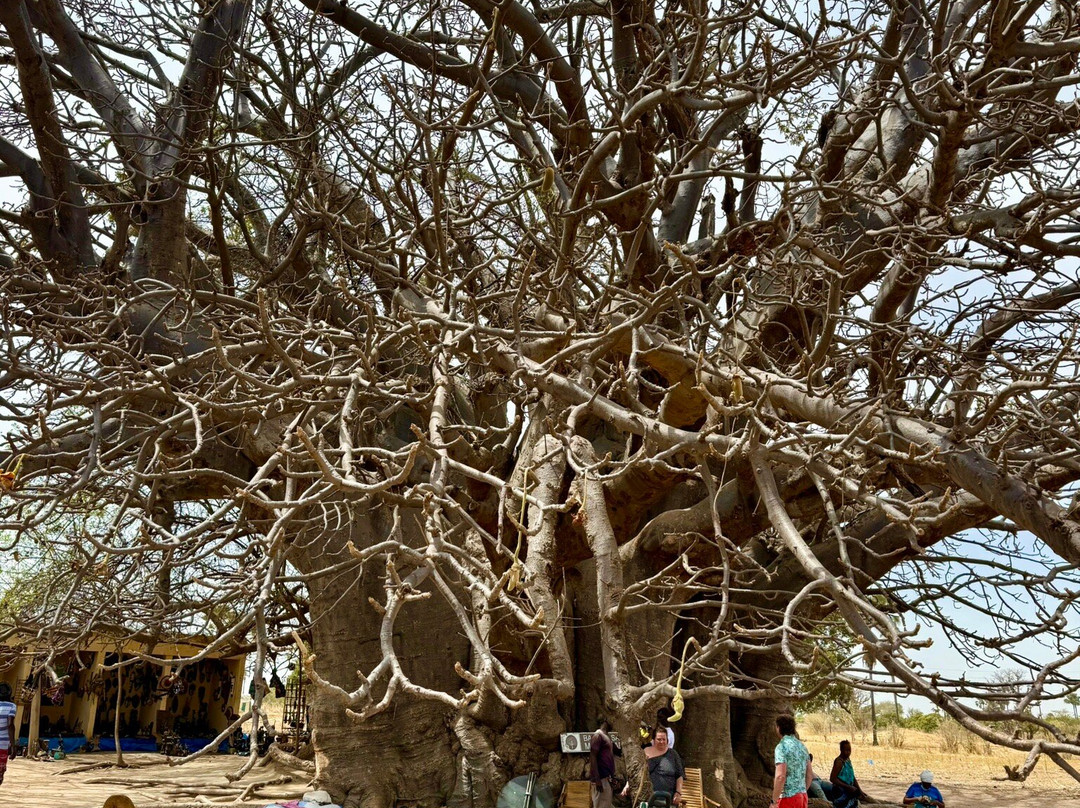 Triptoursenegal-达喀尔必去景点