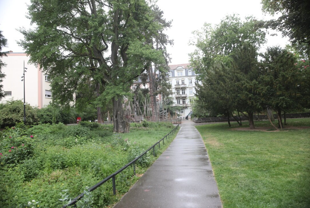 Le Square Steinbach-米卢斯必去景点