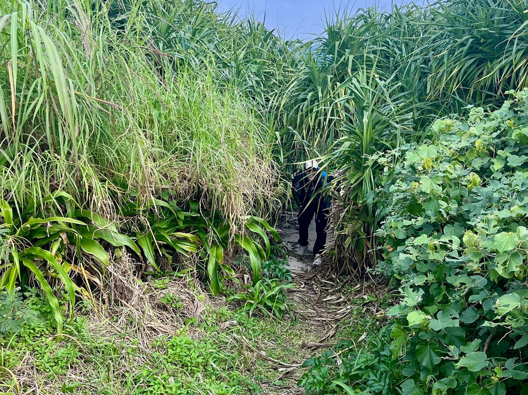 土盛海岸-奄美市必去景点