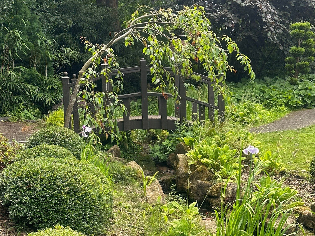 Valley Gardens-哈罗盖特必去景点