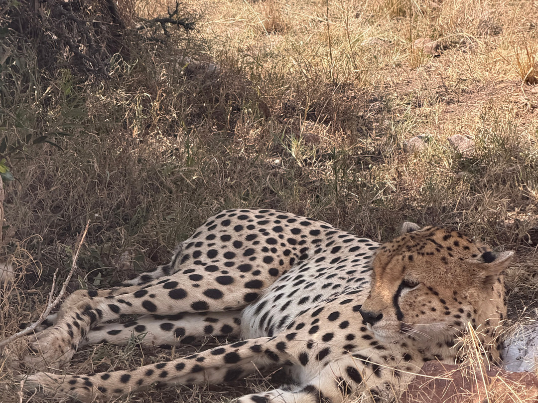 Brighte Maasai Adventures-Mara North Conservancy必去景点