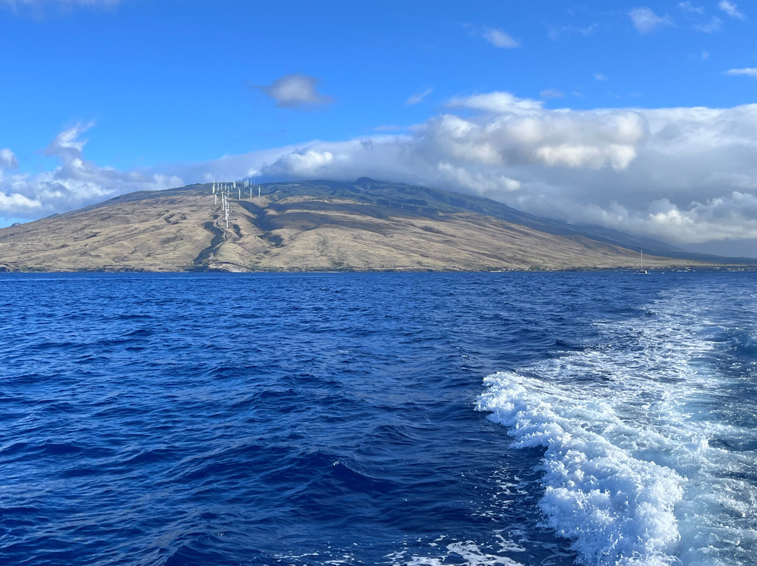 Alii Nui Sailing Charters-玛阿拉也亚必去景点