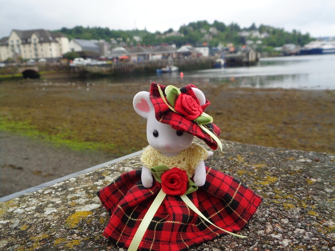 Oban Distillery-奥本必去景点