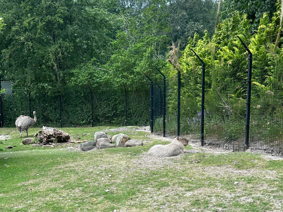 Aalborg Zoologiske Have-奥尔堡必去景点