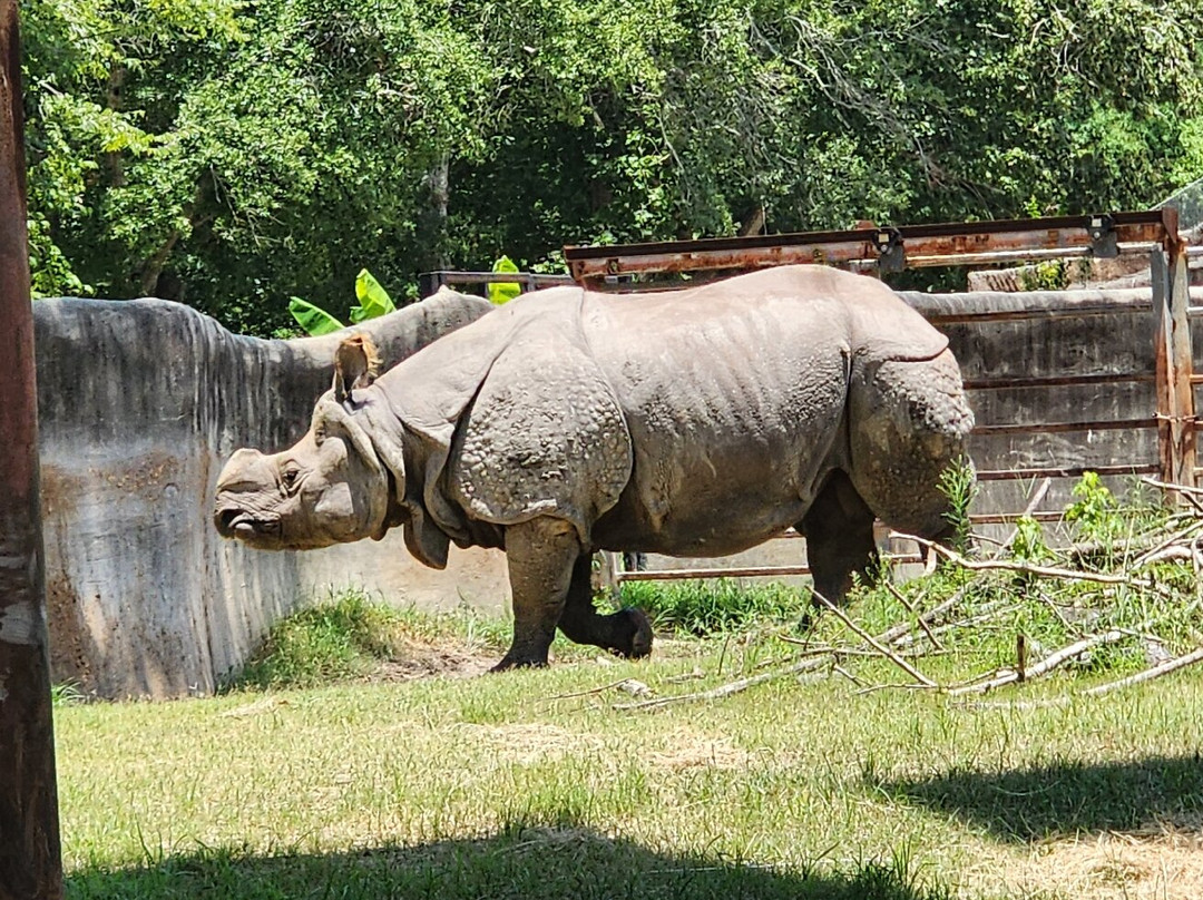 Baton Rouge Zoo-巴吞鲁日必去景点