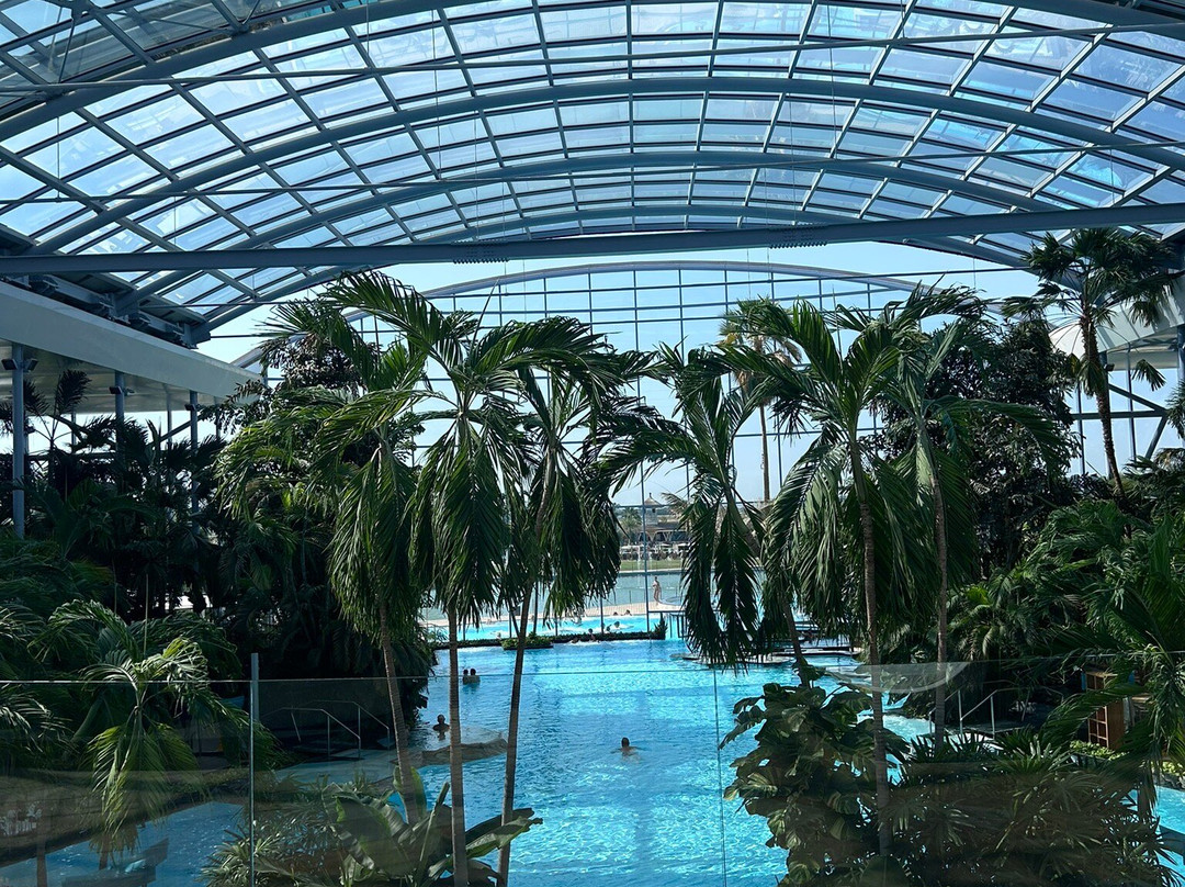 Therme Bucuresti-Balotesti必去景点