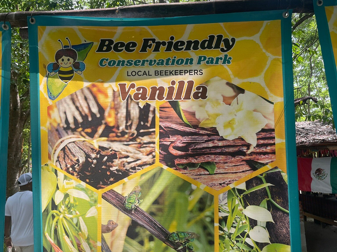 Bee Friendly Conservation Park-考祖梅必去景点
