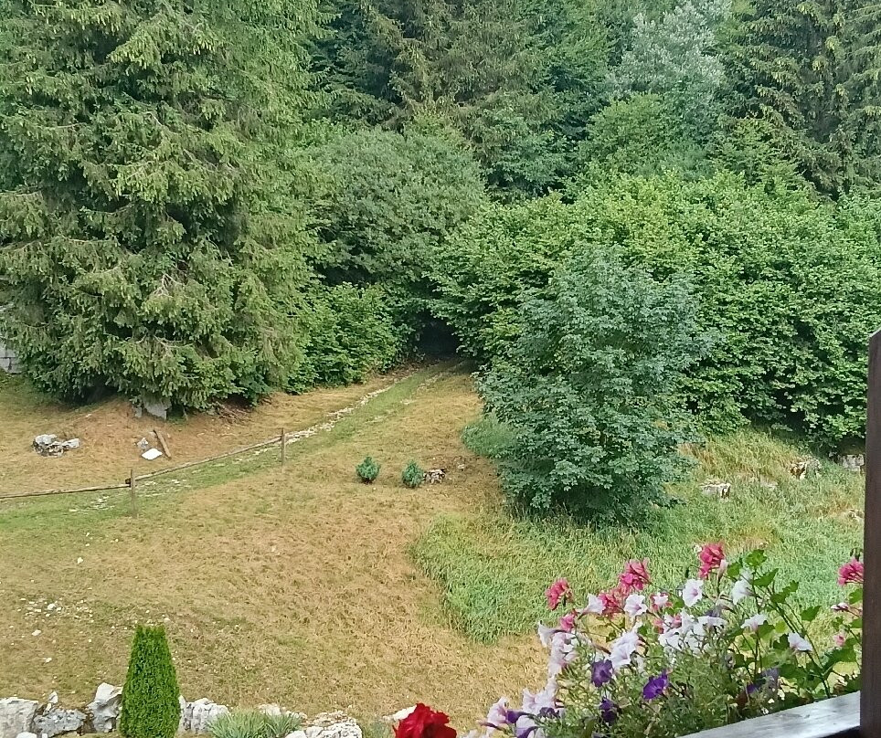 La Bocchetta Romantic Spa Hotel e Ristorante主图
