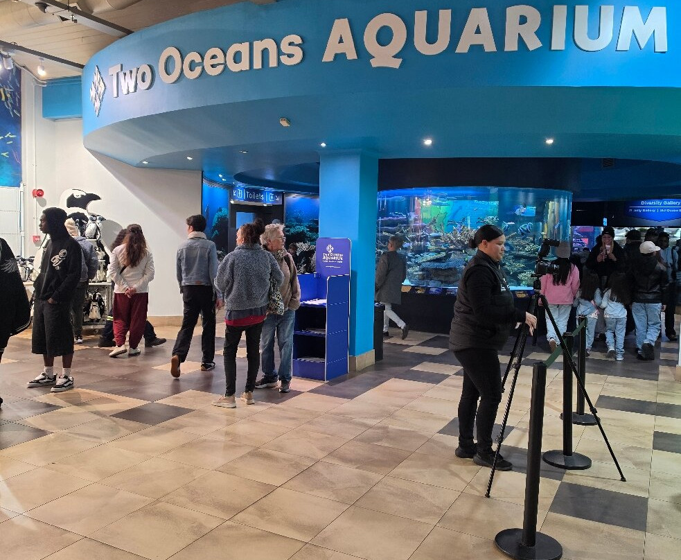 Two Oceans Aquarium-开普敦中心区必去景点