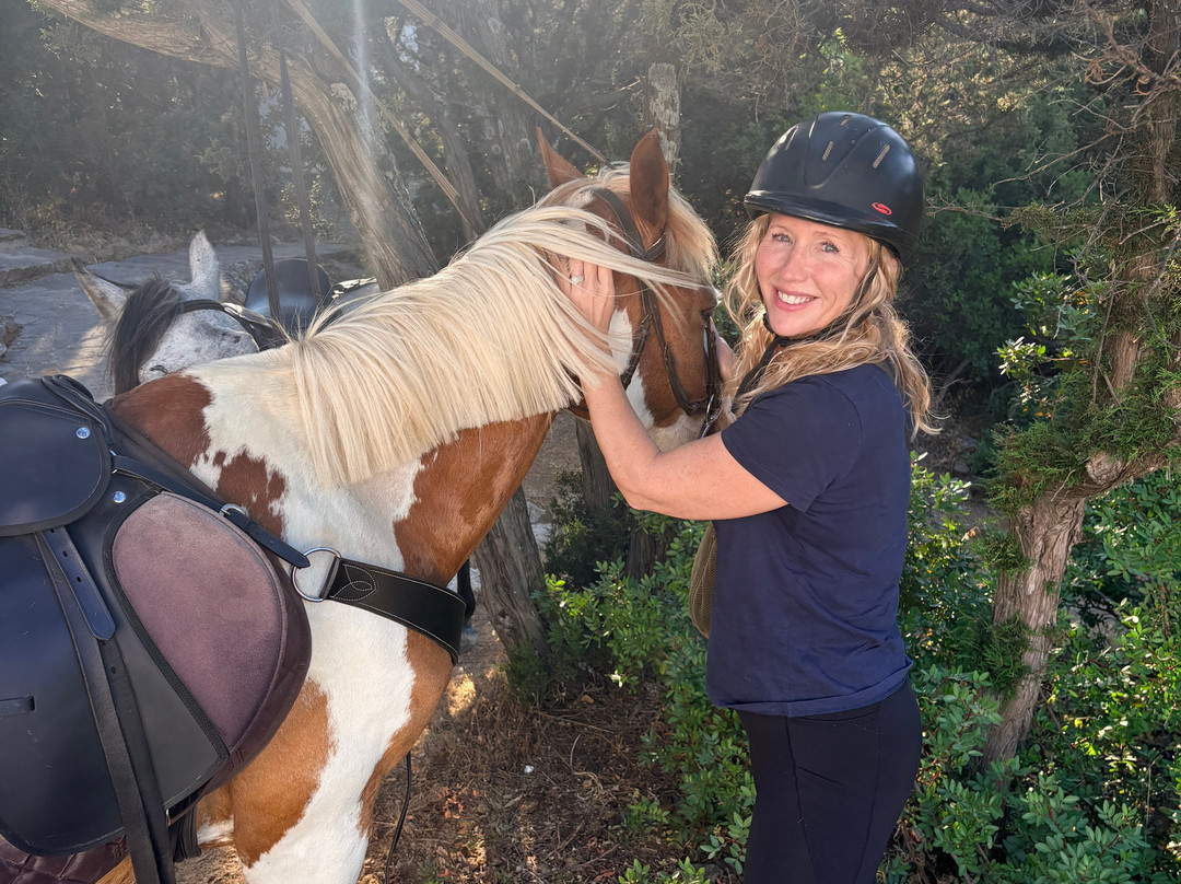 Sifnos Horseriding-锡弗诺斯岛必去景点