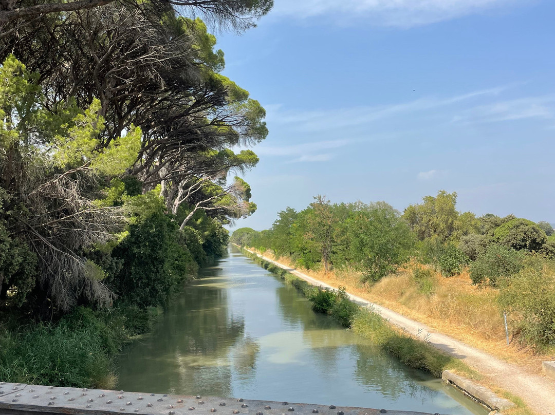 Vélorail Du Canal Du Midi-Salleles-d'Aude必去景点