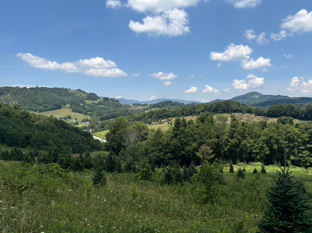 Elk Mountain Riding Company-Newland必去景点