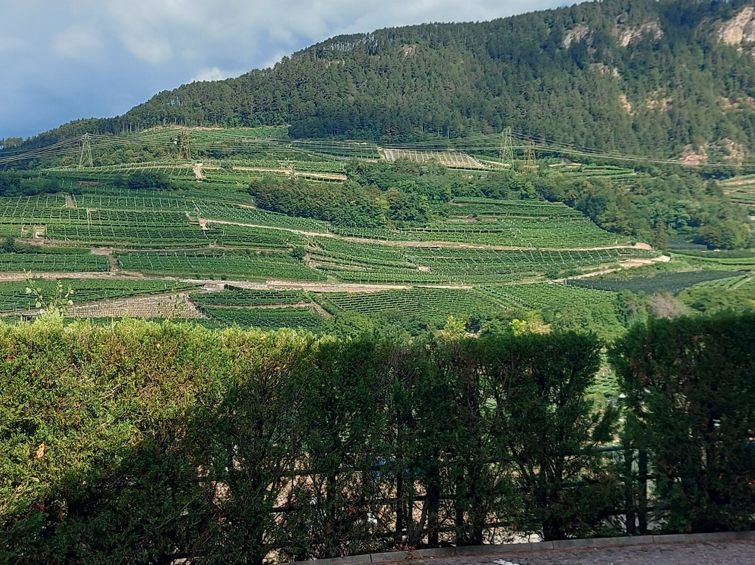 Cantina Villa Corniole-Giovo必去景点