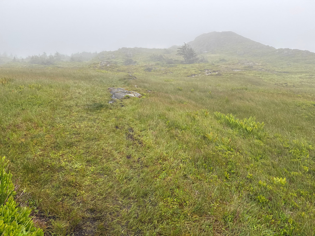 Louisbourg Lighthouse Coastal Trail-Louisbourg必去景点