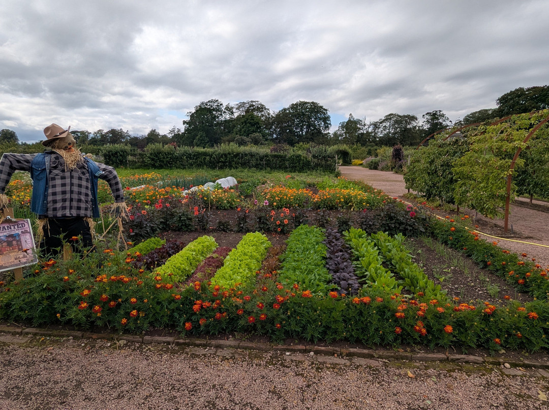 Gordon Castle Walled Garden-Fochabers必去景点
