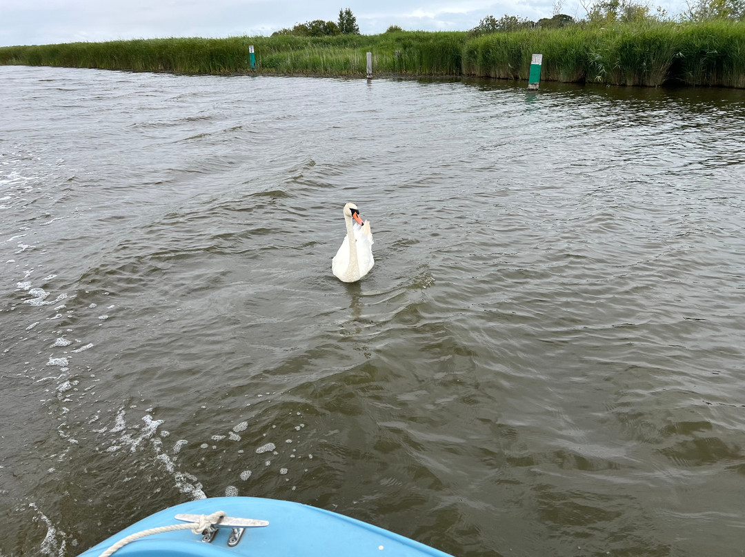 Martham Ferry Day Boat Hire-Martham必去景点