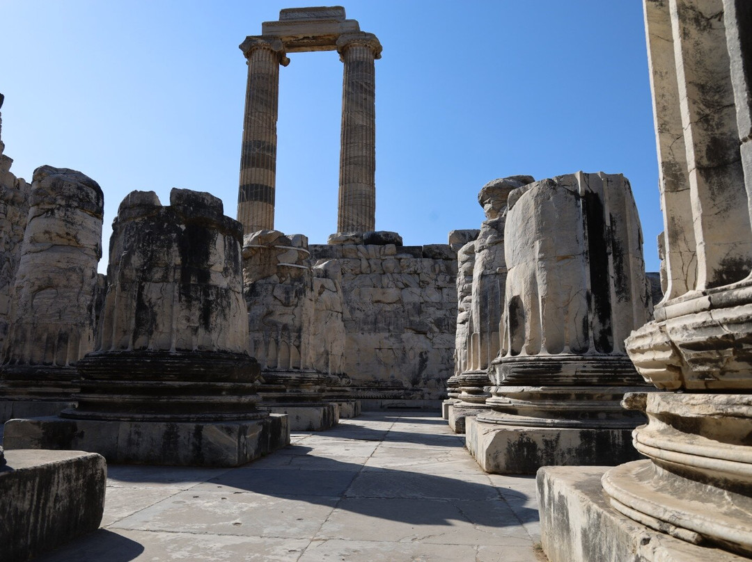 Temple of Apollo-迪迪姆必去景点