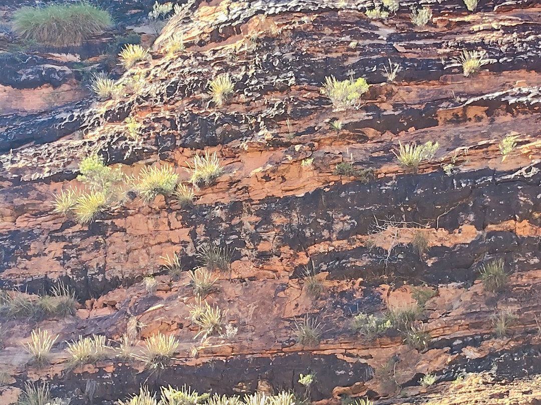 Cathedral Gorge-Purnululu National Park必去景点