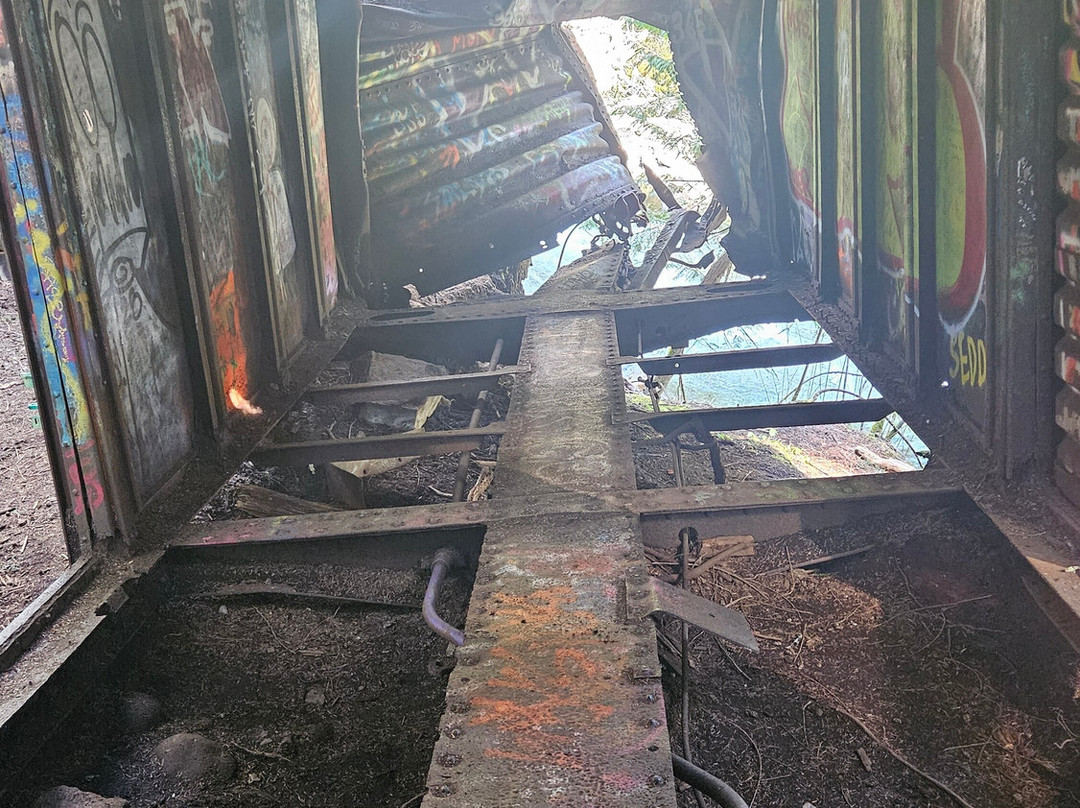 The Whistler Train Wreck Trail-惠斯勒必去景点