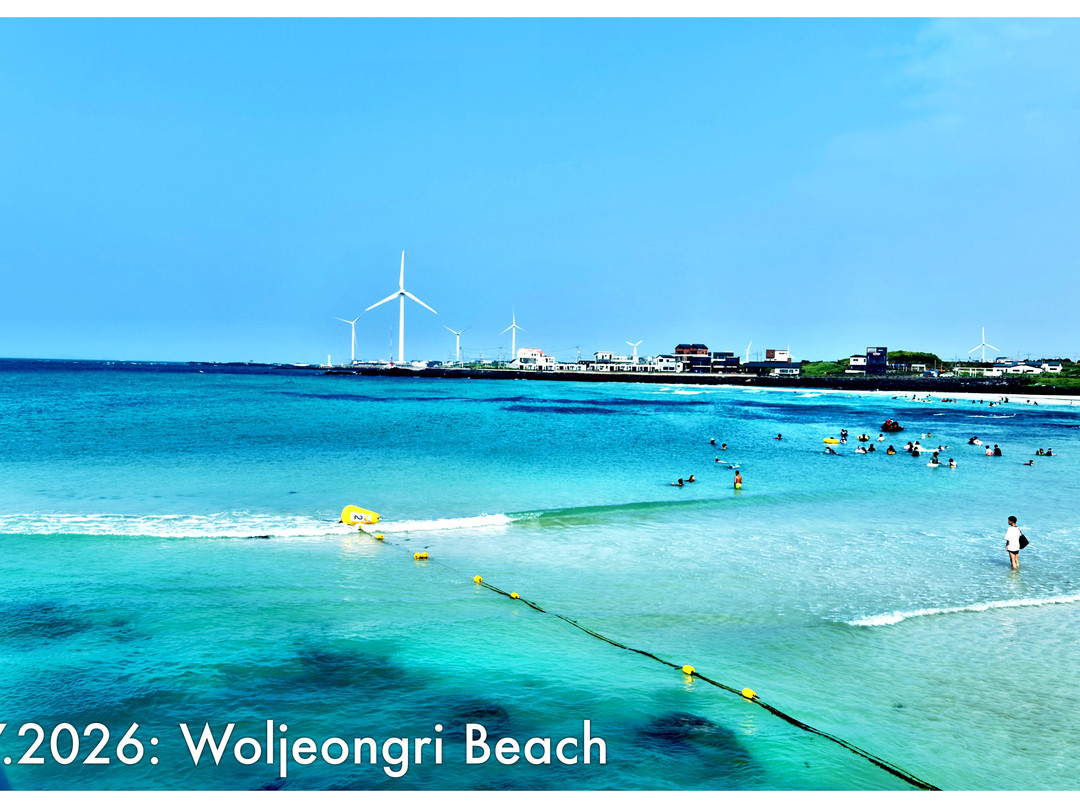 Woljeongri Beach-济州必去景点