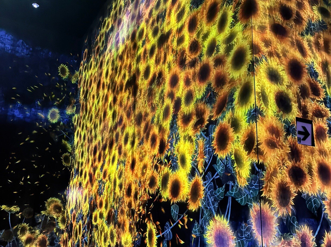 Teamlab Borderless Tokyo-港区必去景点