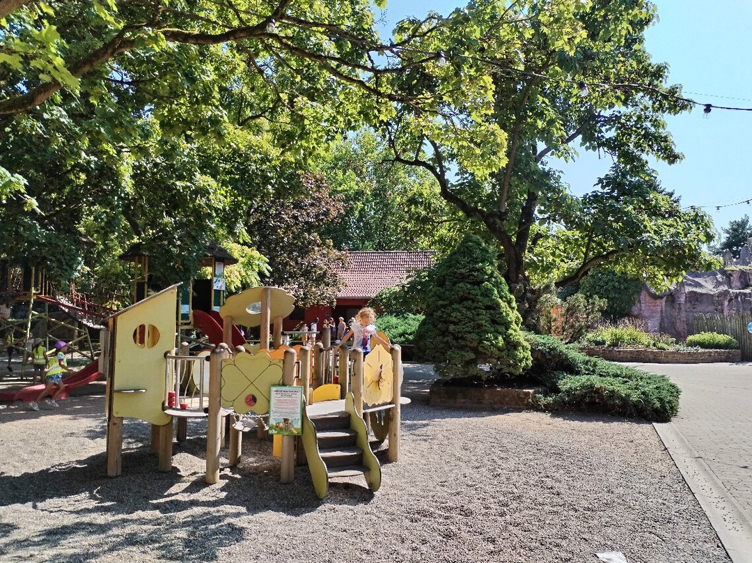 Cigoland - Parc des Cigognes et Attractions-Kintzheim必去景点