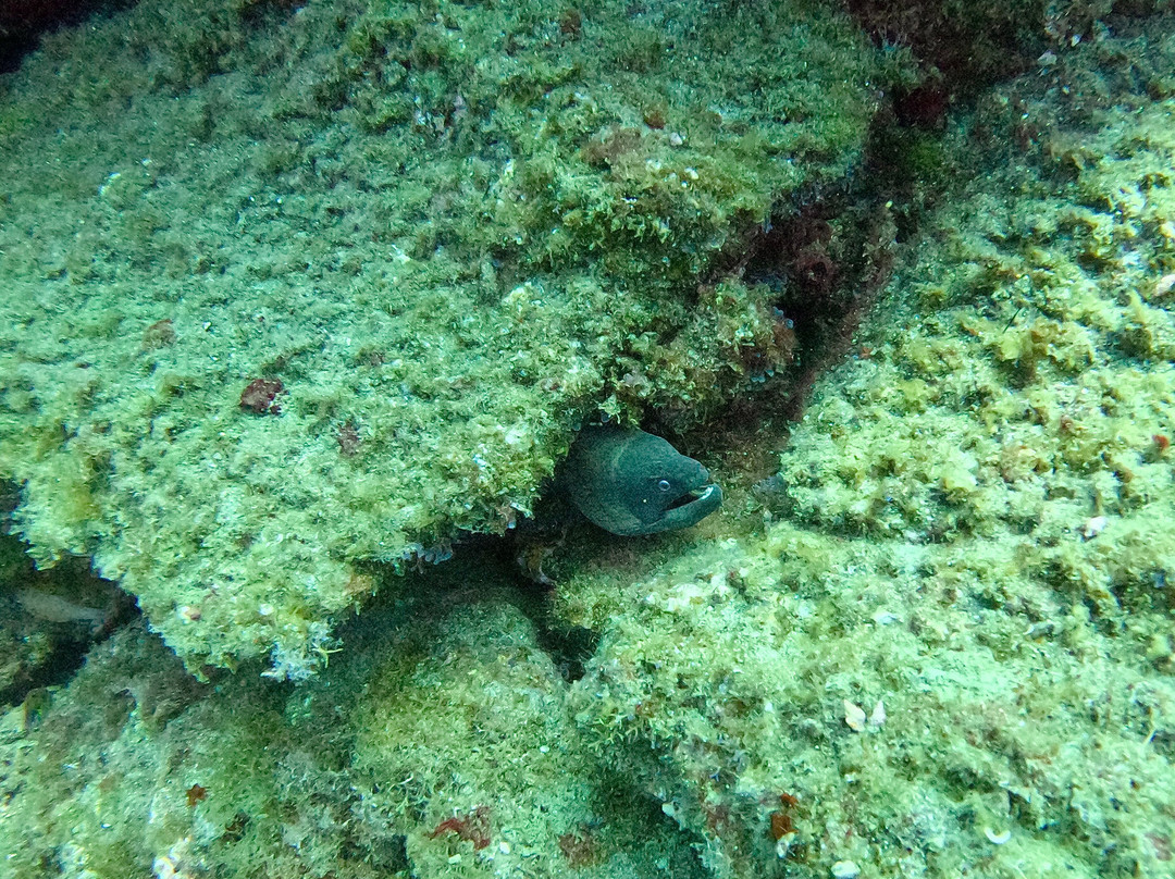 PAMA DIVING-圣胡安海滩必去景点