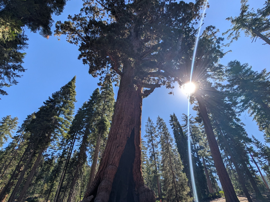 Yosemite 360 Tours-菲什营必去景点