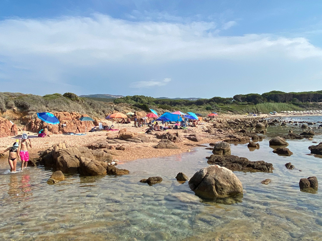 Spiaggia di Cala Canneddi-Trinita d'Agultu e Vignola必去景点