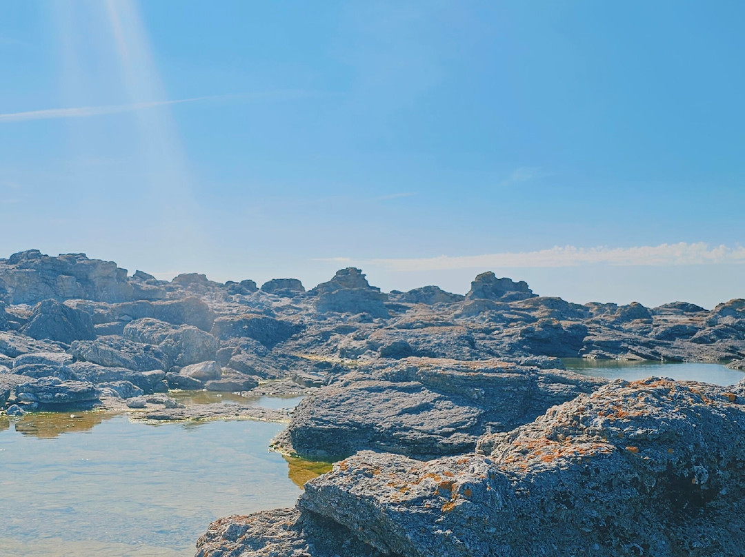 Digerhuvud Sea Stack Field-Faro必去景点