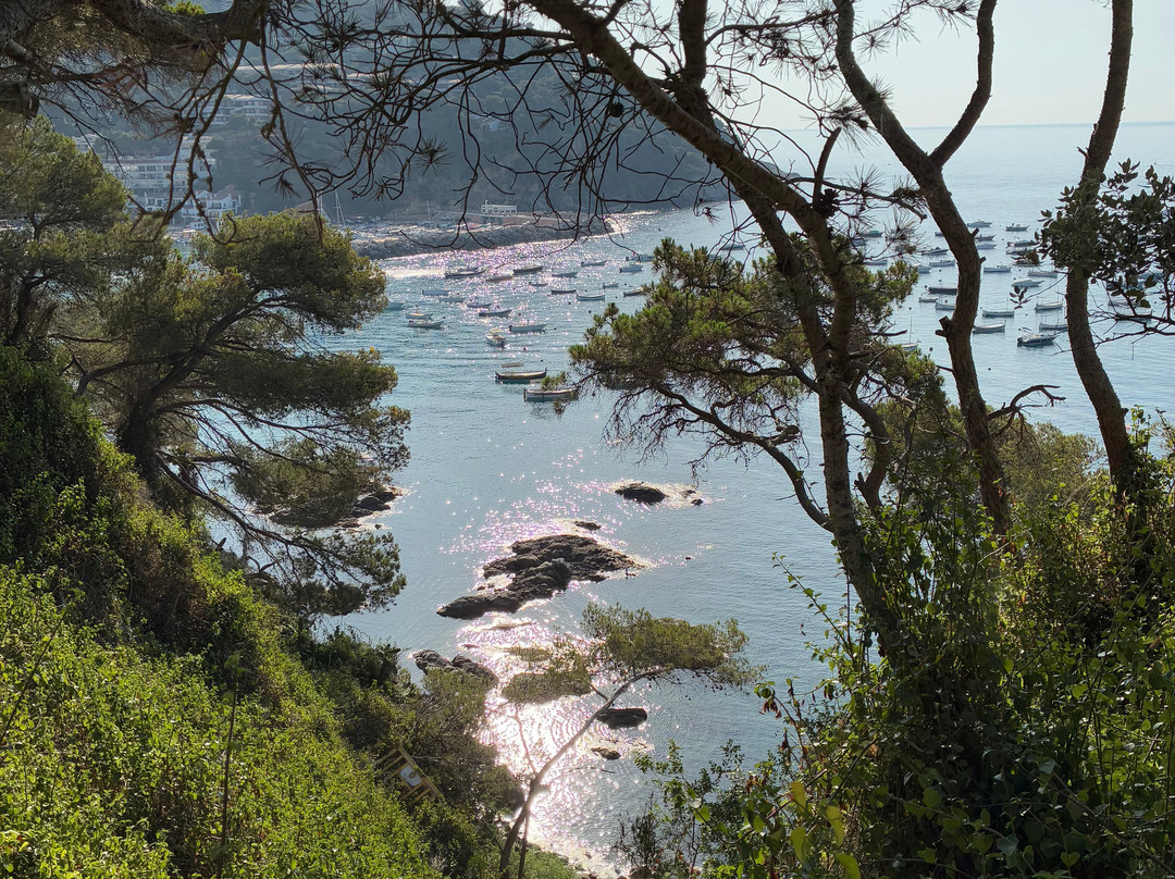 Playa De Llafranc-Llafranc必去景点