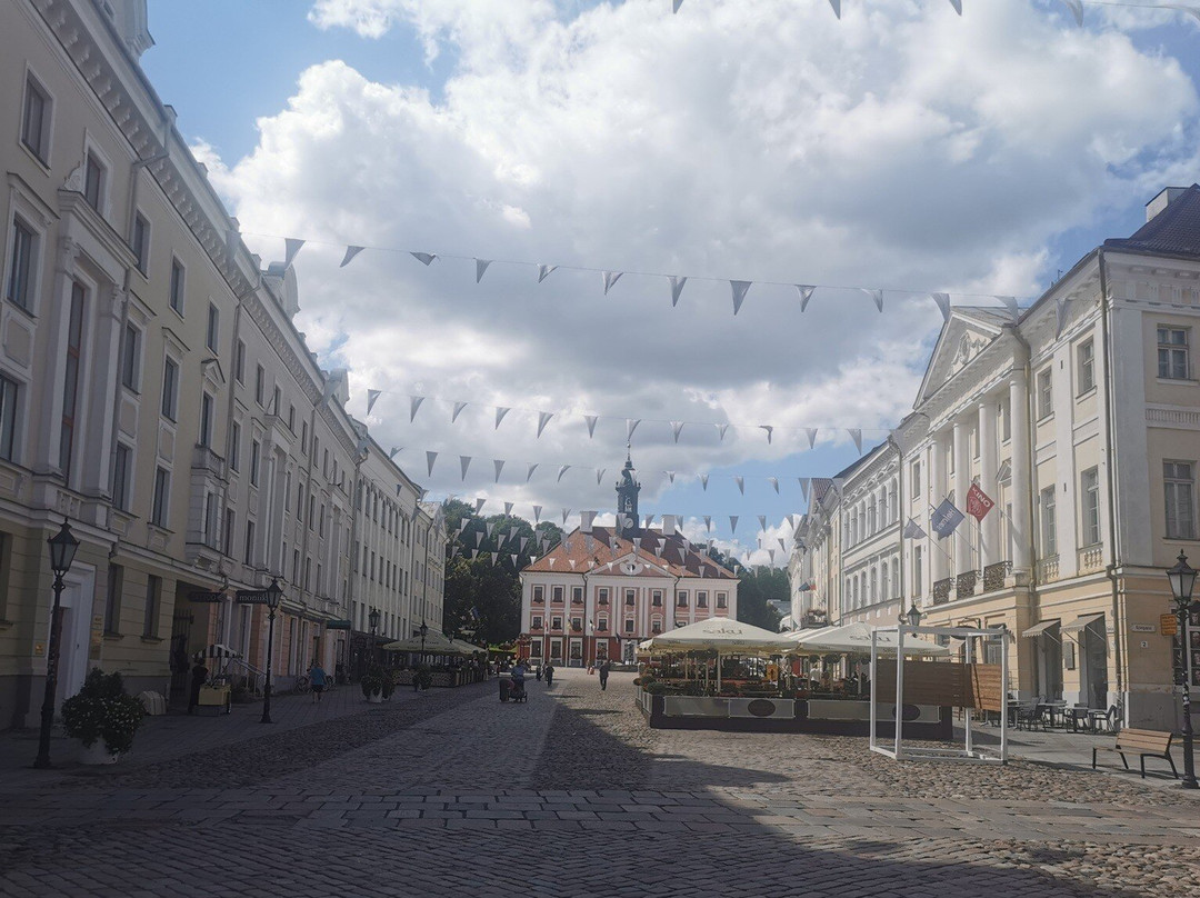 Tartu Town Hall Square-塔尔图必去景点